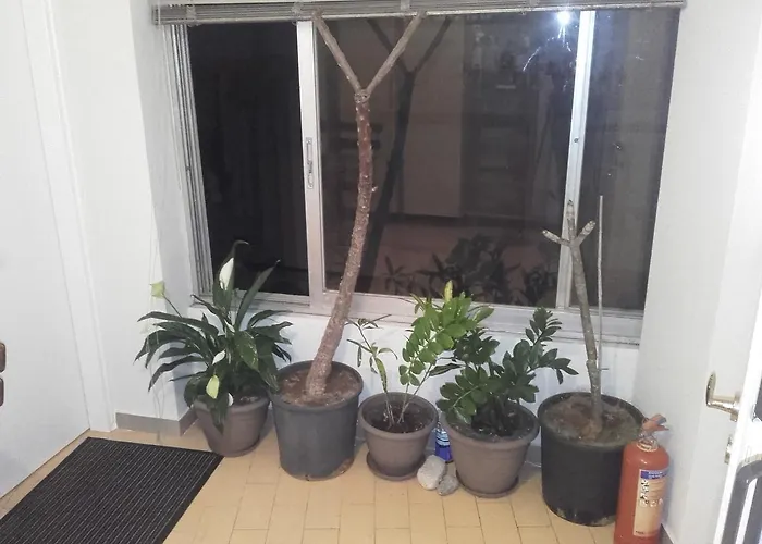 Jennys Apartment