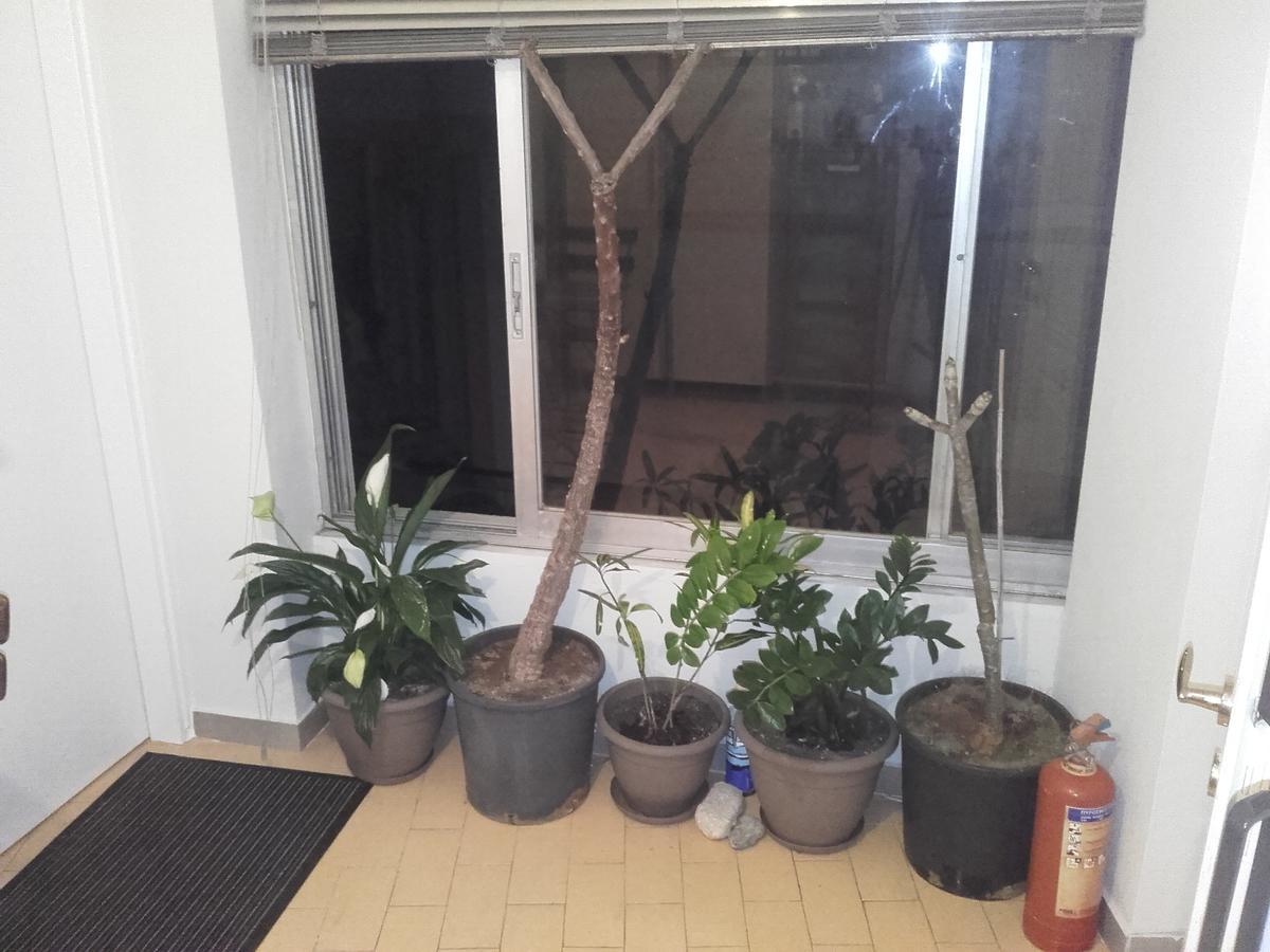 Jennys Apartment Preveza